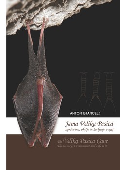 Cover for Jama Velika Pasica / The Cave Velika Pasica. Zgodovina, okolje in življenje v njej / History, Environment and Life in It