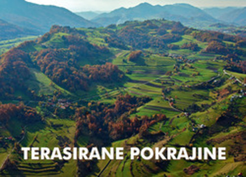 Cover for Terasirane pokrajine. Ob sedemdesetletnici Geografskega inštituta Antona Melika ZRC SAZU