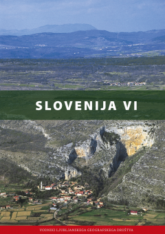Cover for Slovenija VI